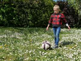 louis